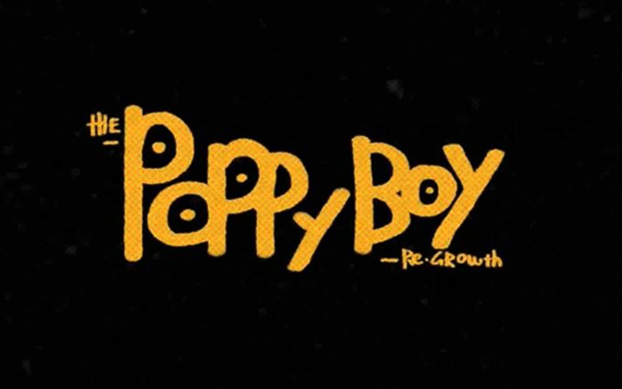 《THE POPPYBOY》 2020届广州美术学院 美术教育 毕设作品哔哩哔哩bilibili