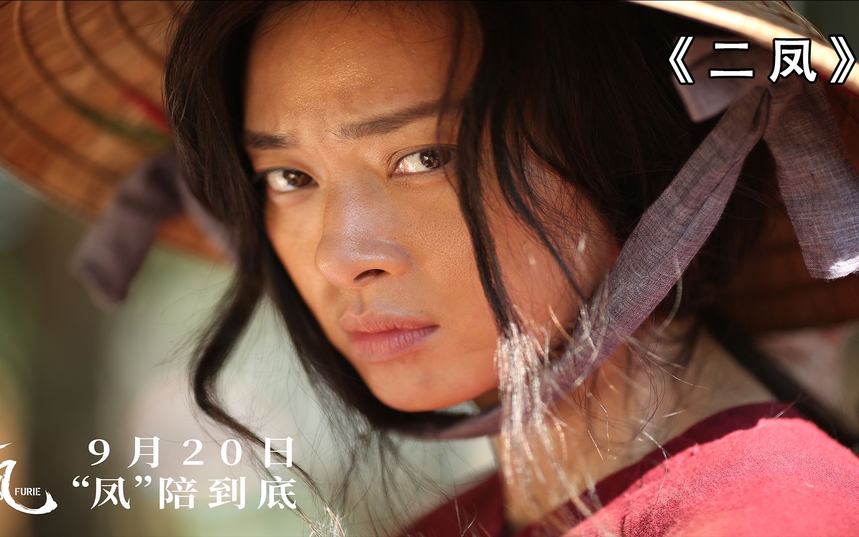 黑道女王不需要大哥缺沦落为讨债人