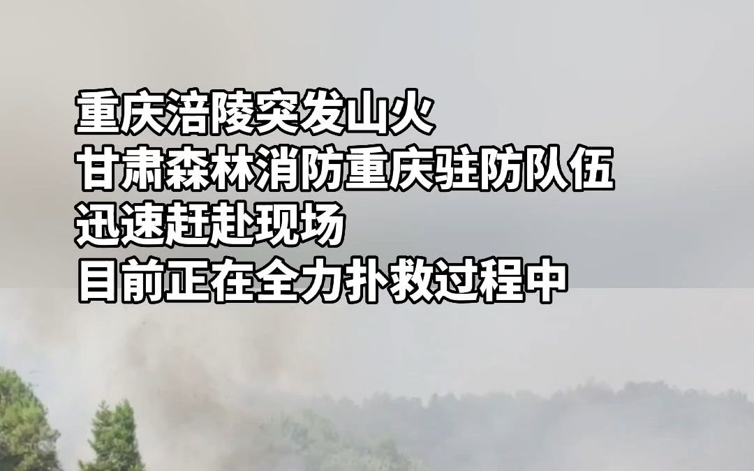 重庆涪陵突发山火,甘肃森林消防重庆驻防队伍迅速赶赴现场,目前正在全力扑救过程中.哔哩哔哩bilibili