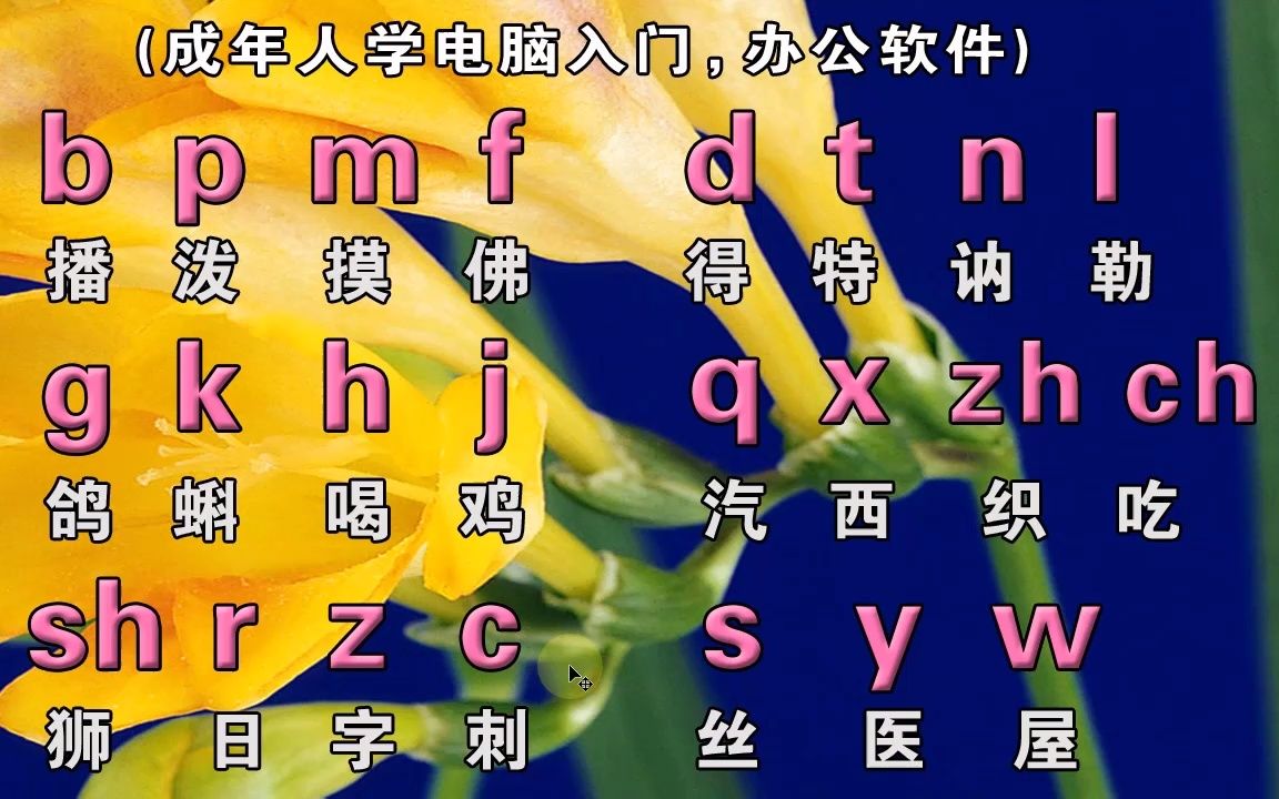 成人零基礎快速學習拼音打字入門漢語拼音字母表視頻教程