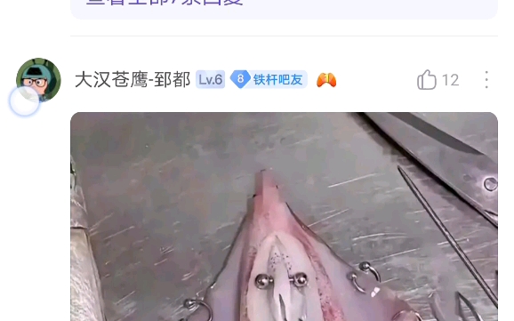 “最逆天了”哔哩哔哩bilibili