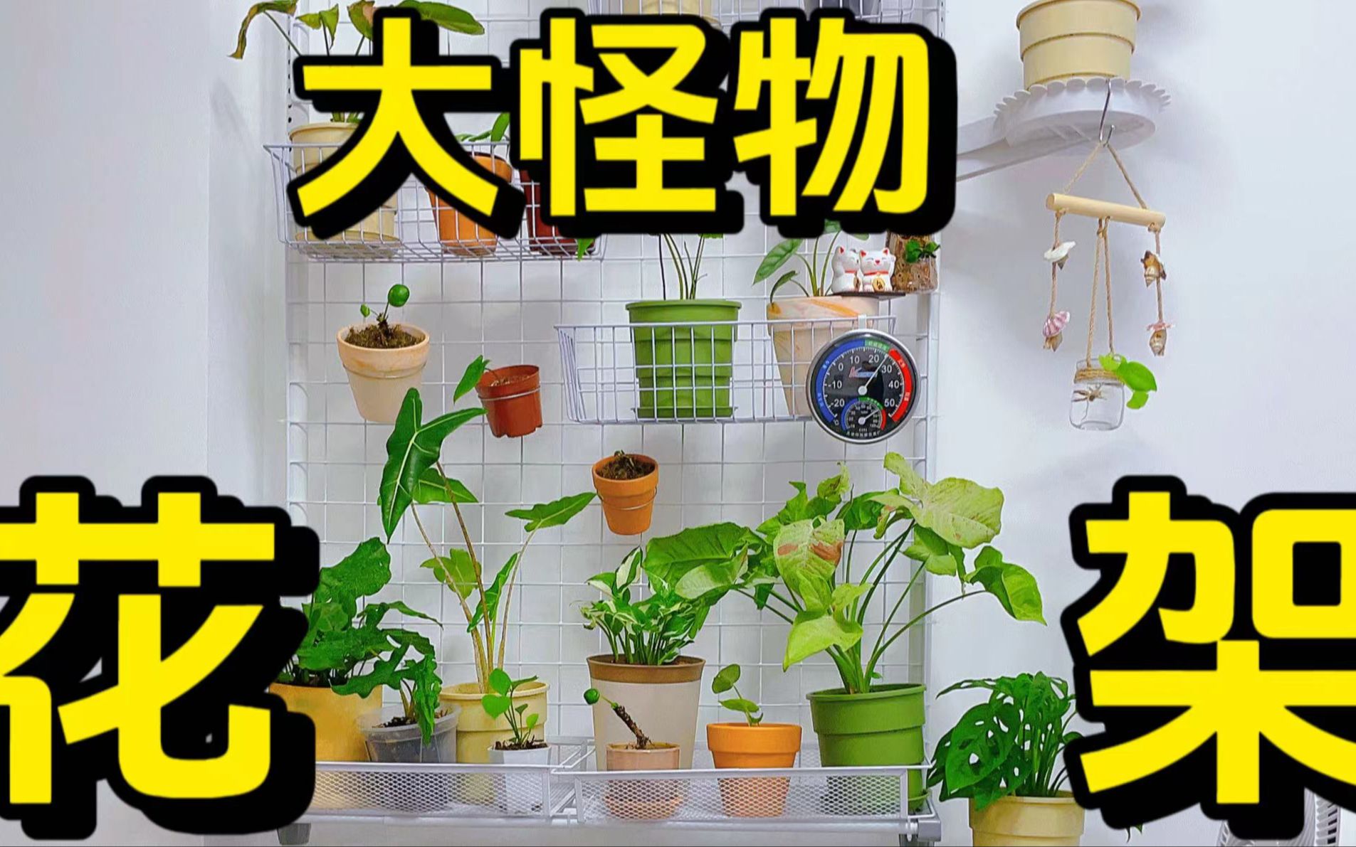 100块DIY花架,收纳了我家三十多盆绿植哔哩哔哩bilibili