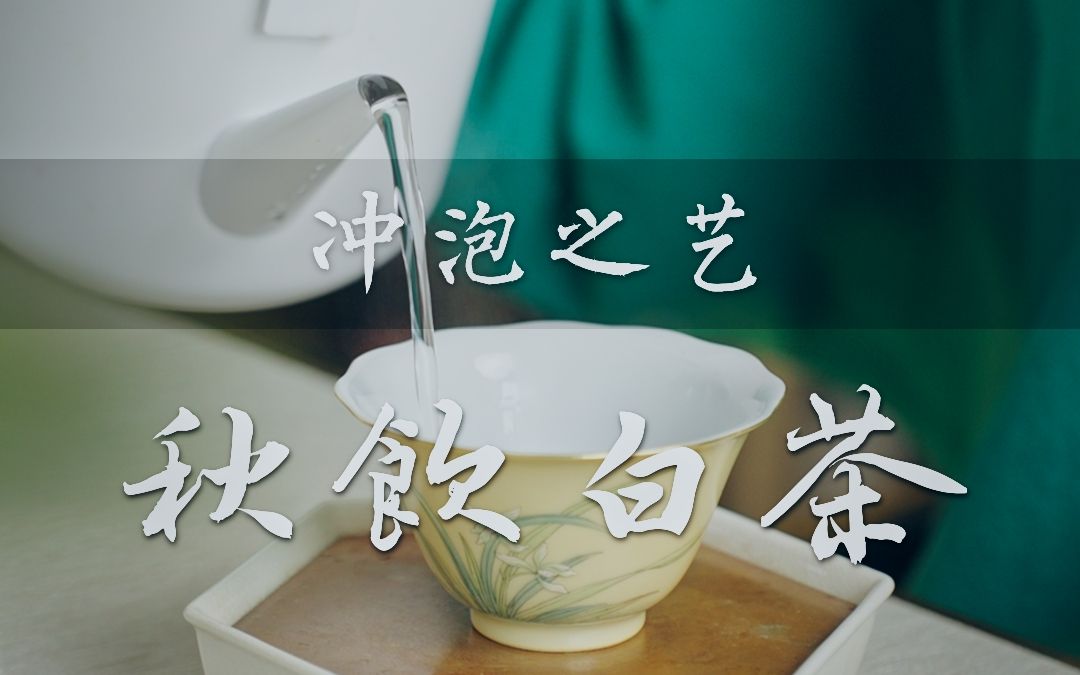 秋饮白茶~ 岁寒时深,添衣勿忘,喝杯白茶暖暖身子吧~哔哩哔哩bilibili