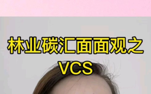 林业碳汇面面观之VCS哔哩哔哩bilibili