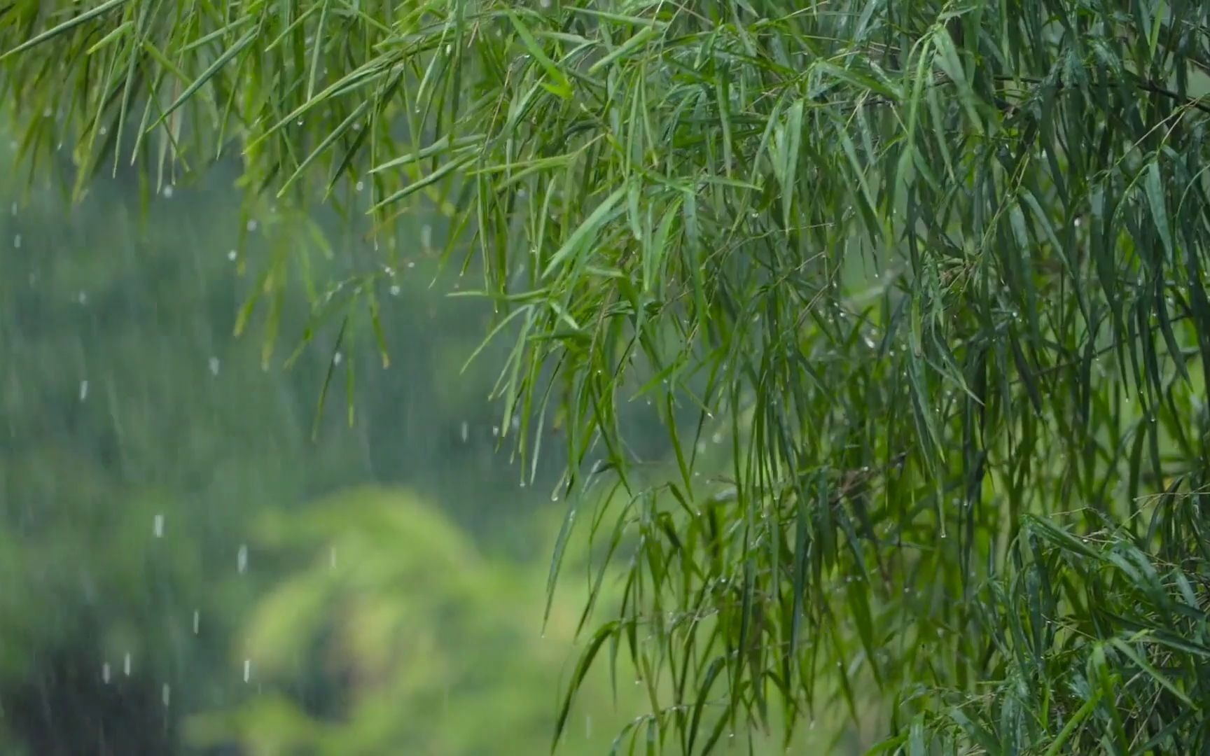 「纯音乐」纯下雨声音自然睡眠静心工作安静放松纯音乐哔哩哔哩bilibili