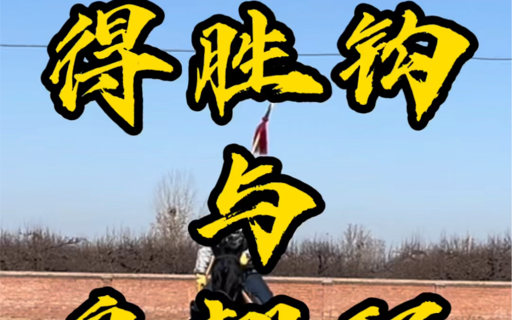 得胜钩与鸟翅环