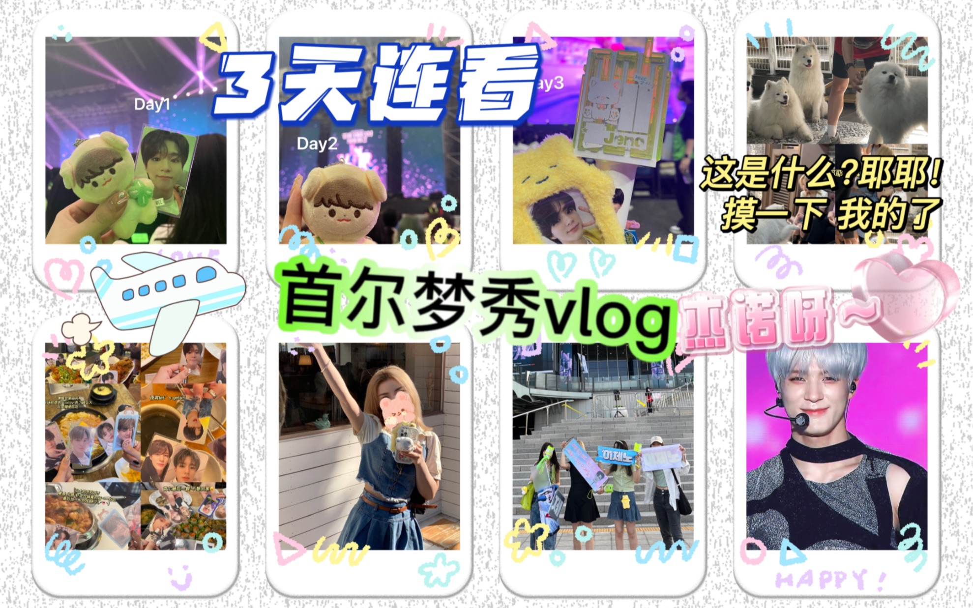 地租梦秀安可| 首尔萨摩耶狗咖 vlog 随便剪剪哔哩哔哩bilibili