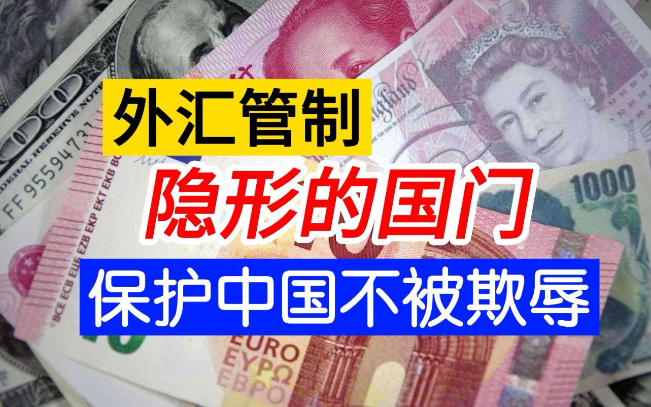 外汇管制真是管你吗?你想多了!那是国门 防止中国被资本收割的门户 做多中国无为即可哔哩哔哩bilibili