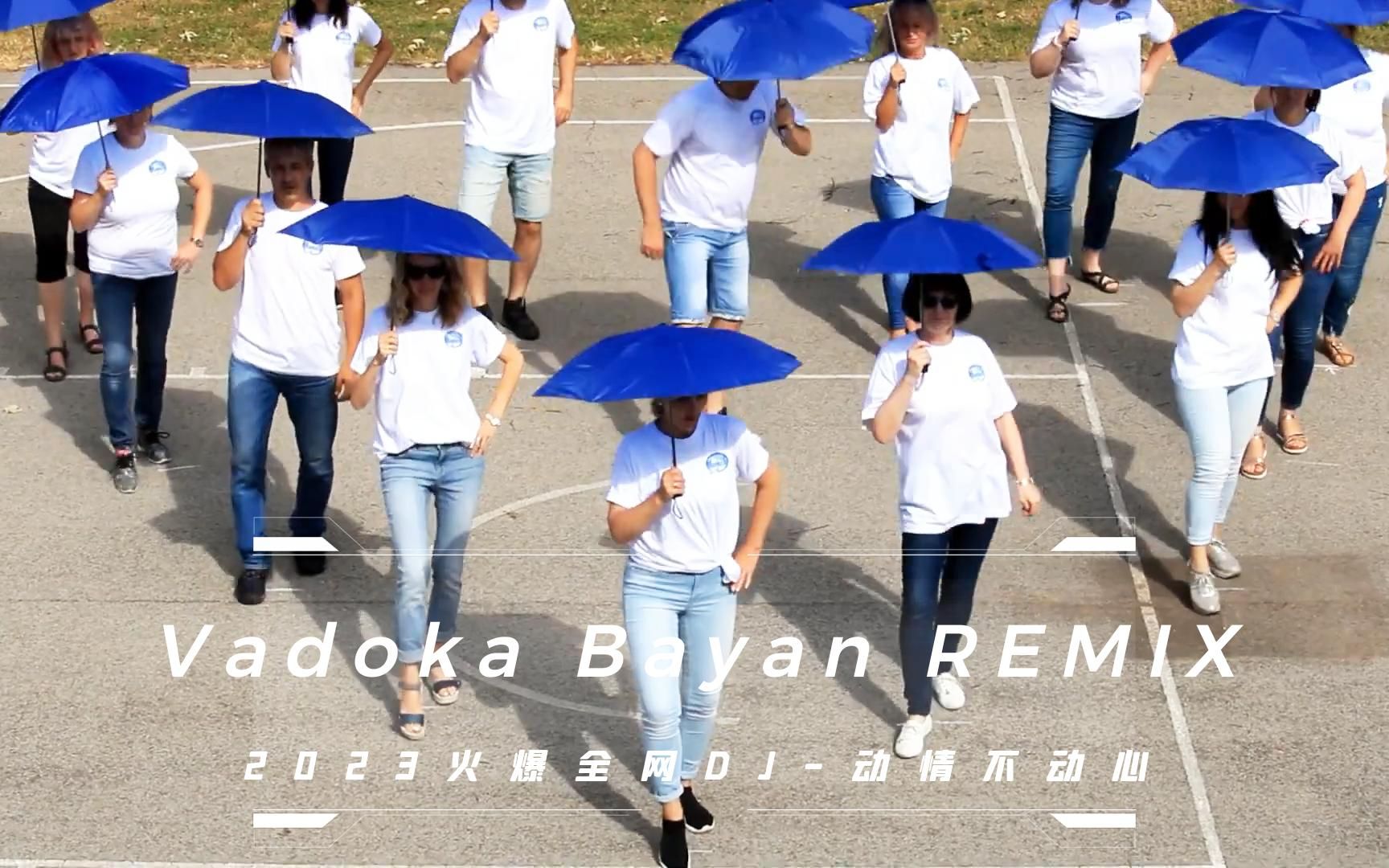 2023火爆全网DJ动情不动心Vadoka Bayan REMIX精彩缤纷视听盛宴哔哩哔哩bilibili