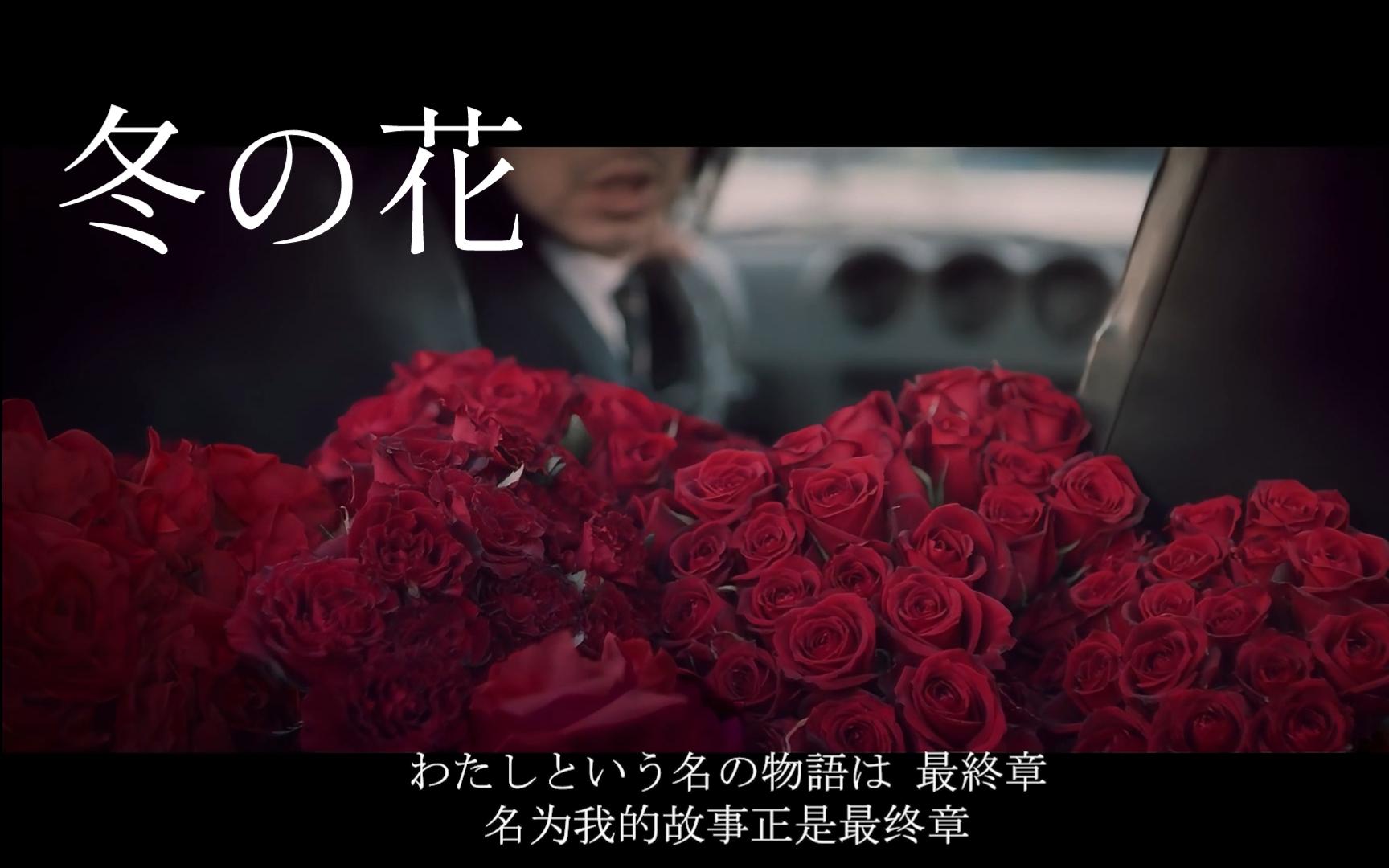 【双语字幕】「冬の花」(冬之花)MV - 宫本浩次 - 视频下载 Video Downloader