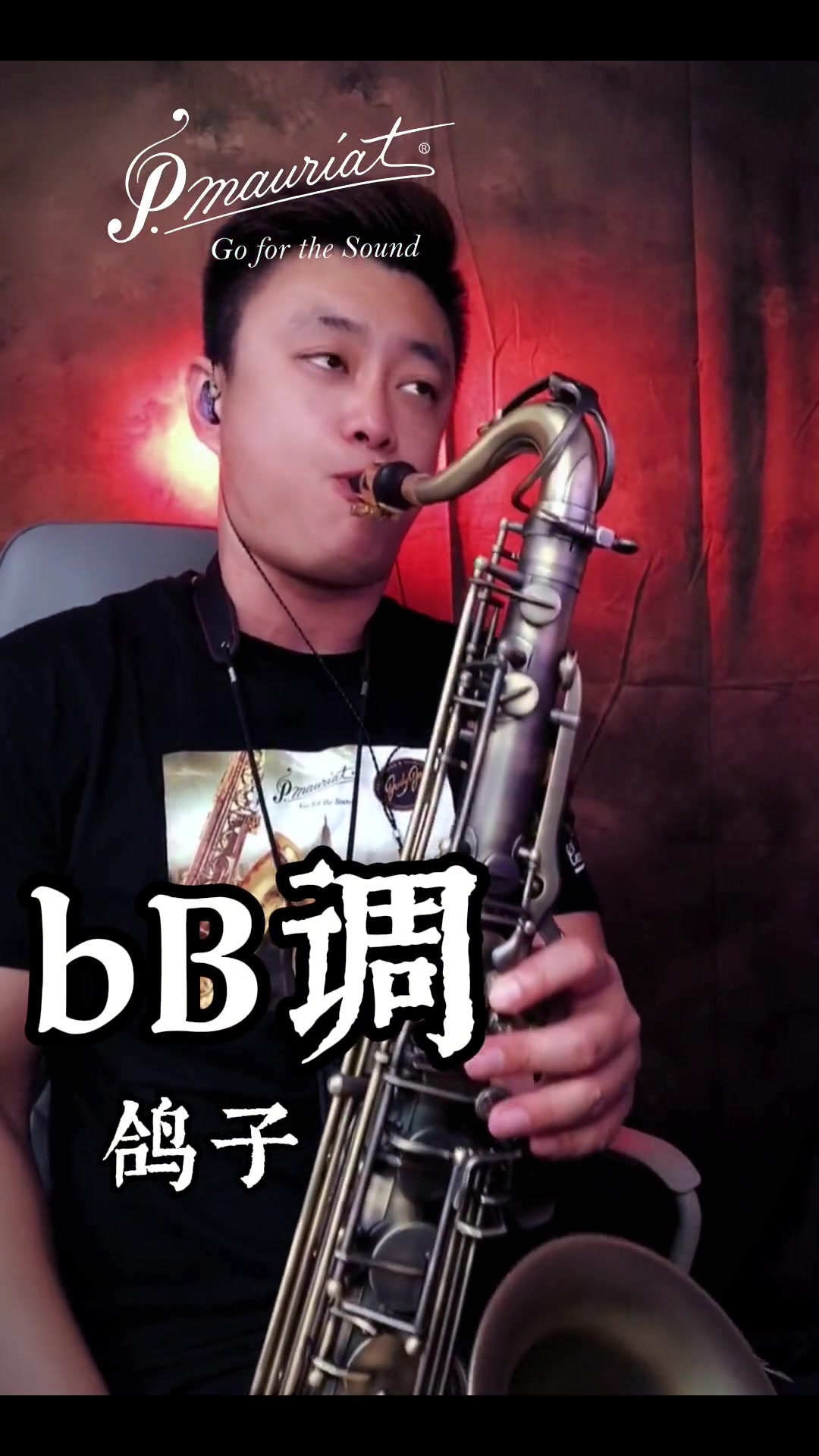 萨克斯萨克斯演奏萨克斯教学鸽子