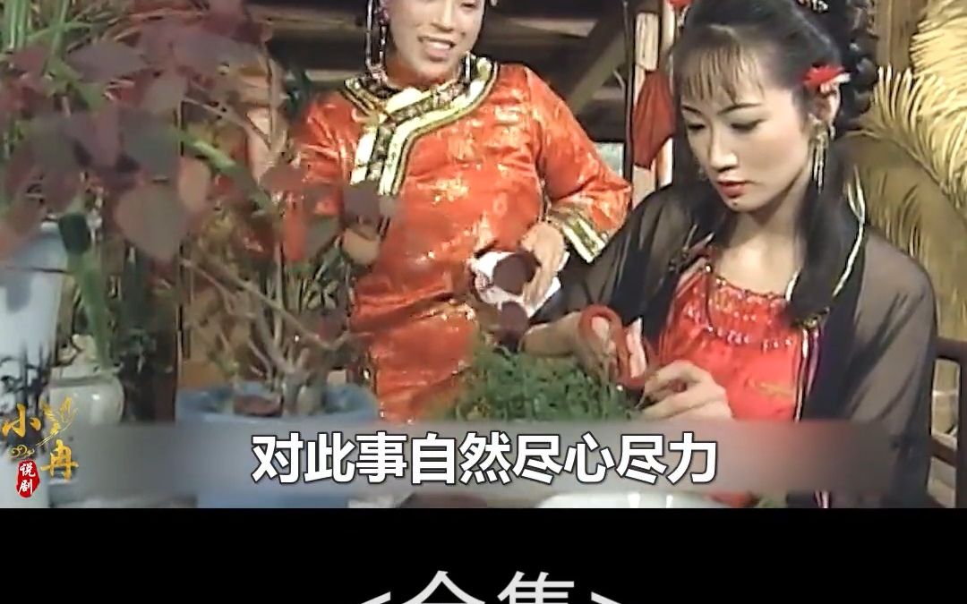 戏说台湾《金莲害夫》全集 #精彩片段 #好剧推荐 #影视解说哔哩哔哩bilibili