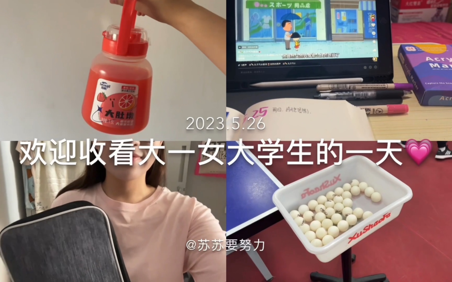 苏苏日记|周五来啦!哔哩哔哩bilibili