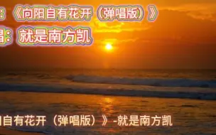 Download Video: 《向阳自有花开（弹唱版）》作者：就是南方凯