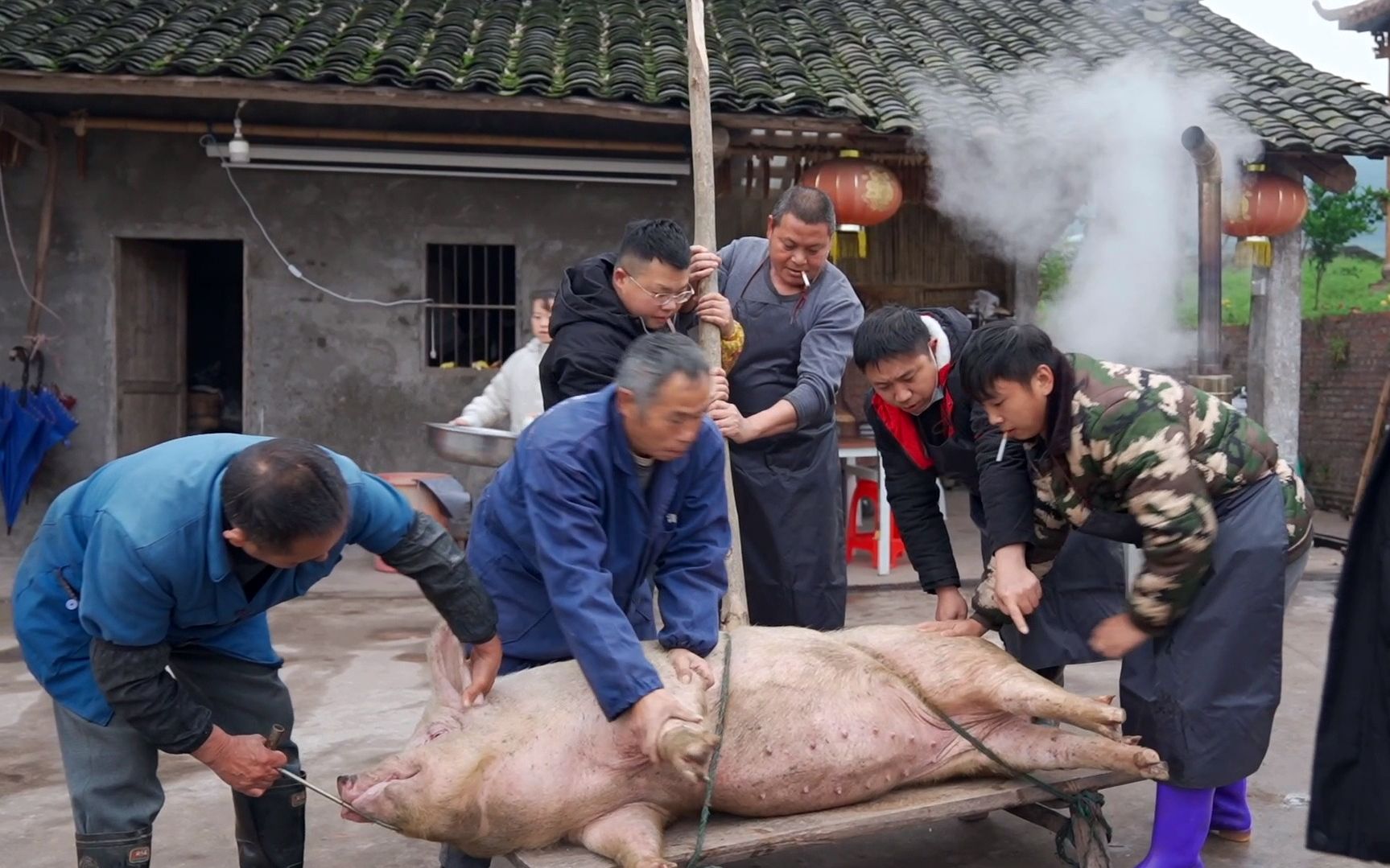 [图]杀年猪啦！你感觉到过年的气氛了吗？