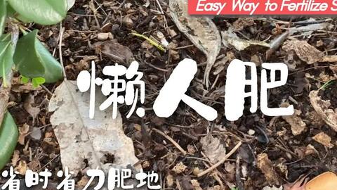 施肥很重要 基肥 底肥 是重中之重 有机种植想菜长得好应该怎样施肥呢 各种堆肥 有机肥等肥料做底肥的详细说明 哔哩哔哩 施肥很重要 基肥 底肥 是重中之重 有机种植想菜长得好应该怎样施肥呢 各种堆肥 有机肥等肥料做底肥的详细说明 哔哩哔哩