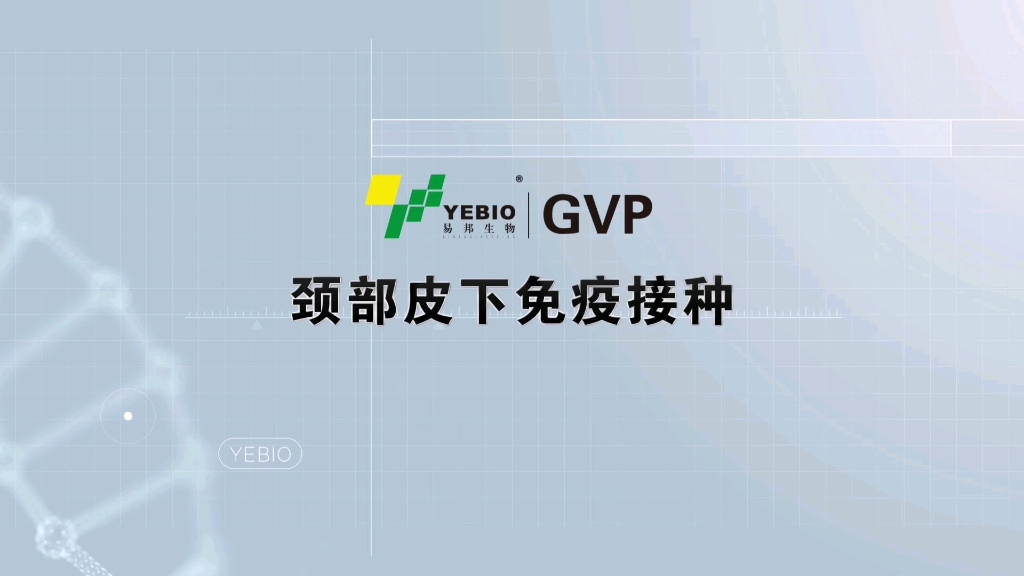 青岛易邦GVP云课堂,颈部皮下免疫操作.哔哩哔哩bilibili