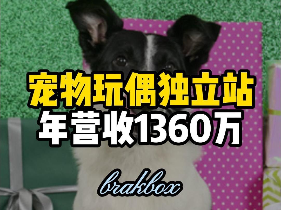 宠物玩偶独立站,年营收1360万哔哩哔哩bilibili