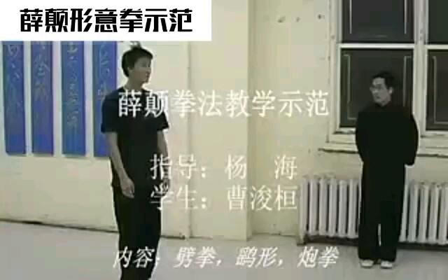 薛颠拳法示范哔哩哔哩bilibili