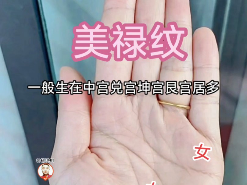 美禄纹解析:手相的秘密!哔哩哔哩bilibili