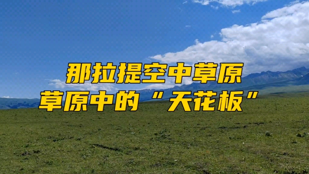 那拉提空中草原,是我国空中草原中的“天花板”哔哩哔哩bilibili