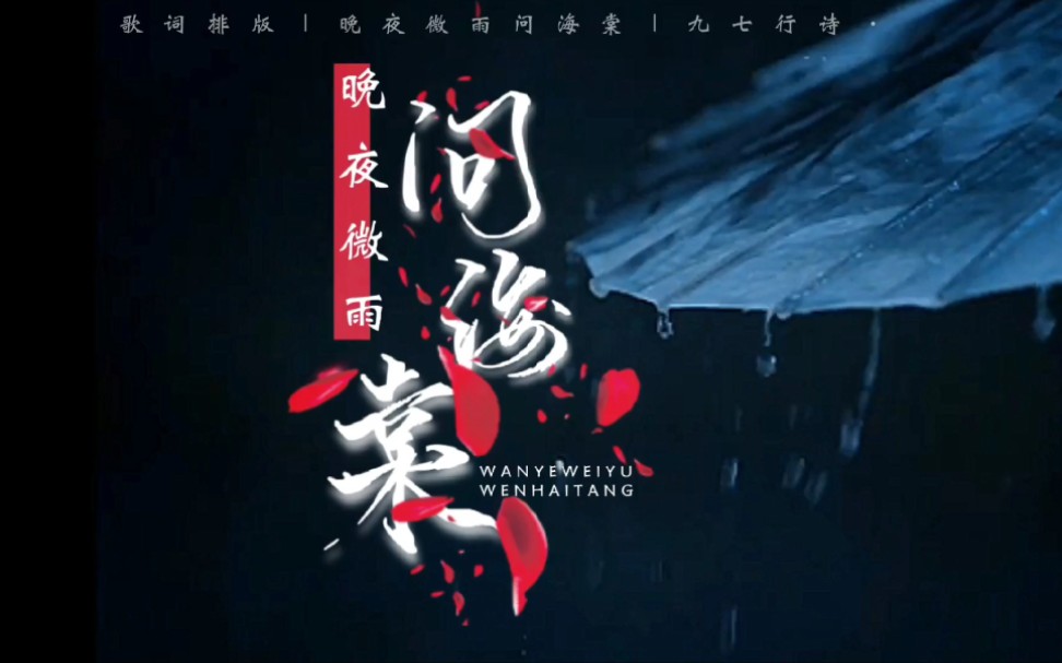 动态歌词排版晚夜微雨问海棠