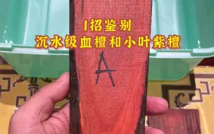 Download Video: 1招鉴别沉水级血檀和小叶紫檀，沉水级血檀不多，做不了大件家具