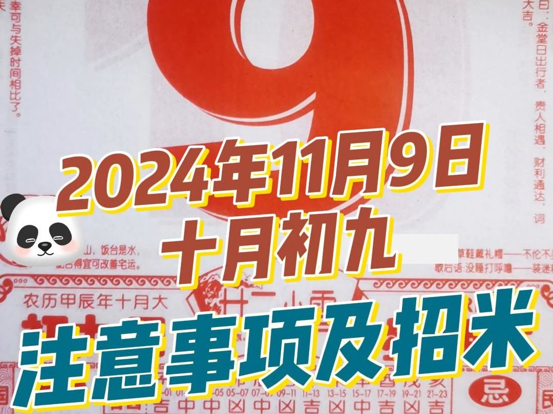 长生教你查黄历解读注意事项 11月9日(十月初九)每日穿搭 好运连连哔哩哔哩bilibili