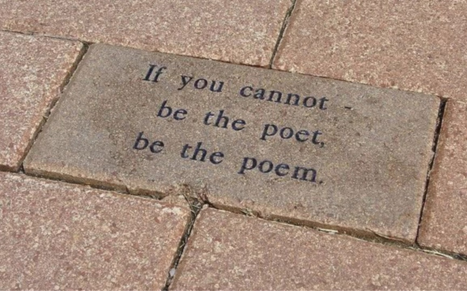 [图]英语名句“If you cannot be a poet, be the poem.”这个翻译绝了！