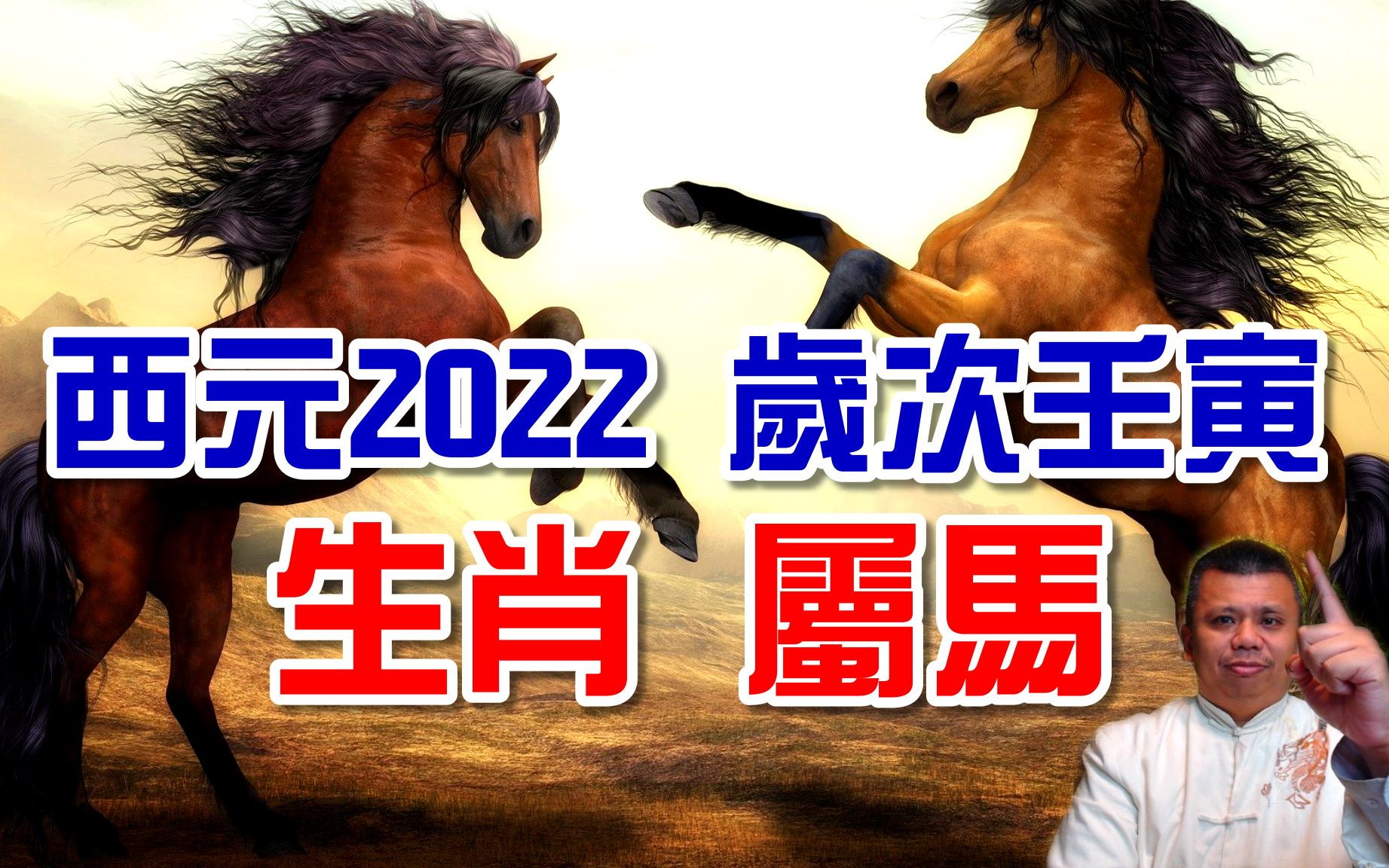 2022年生肖属马岁次壬寅哔哩哔哩bilibili