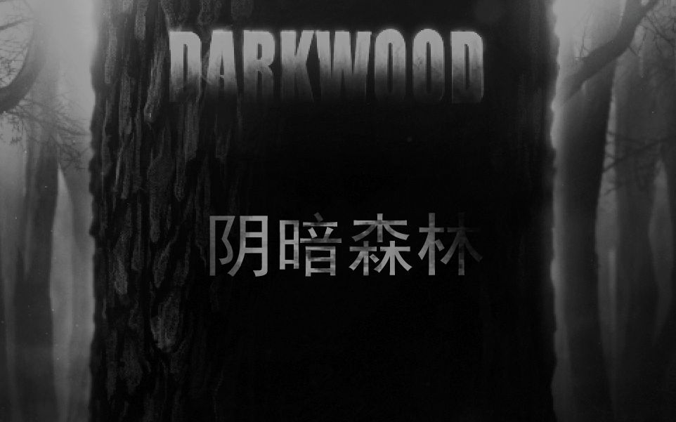 Darkwood(阴暗森林)序章/无解说哔哩哔哩bilibili