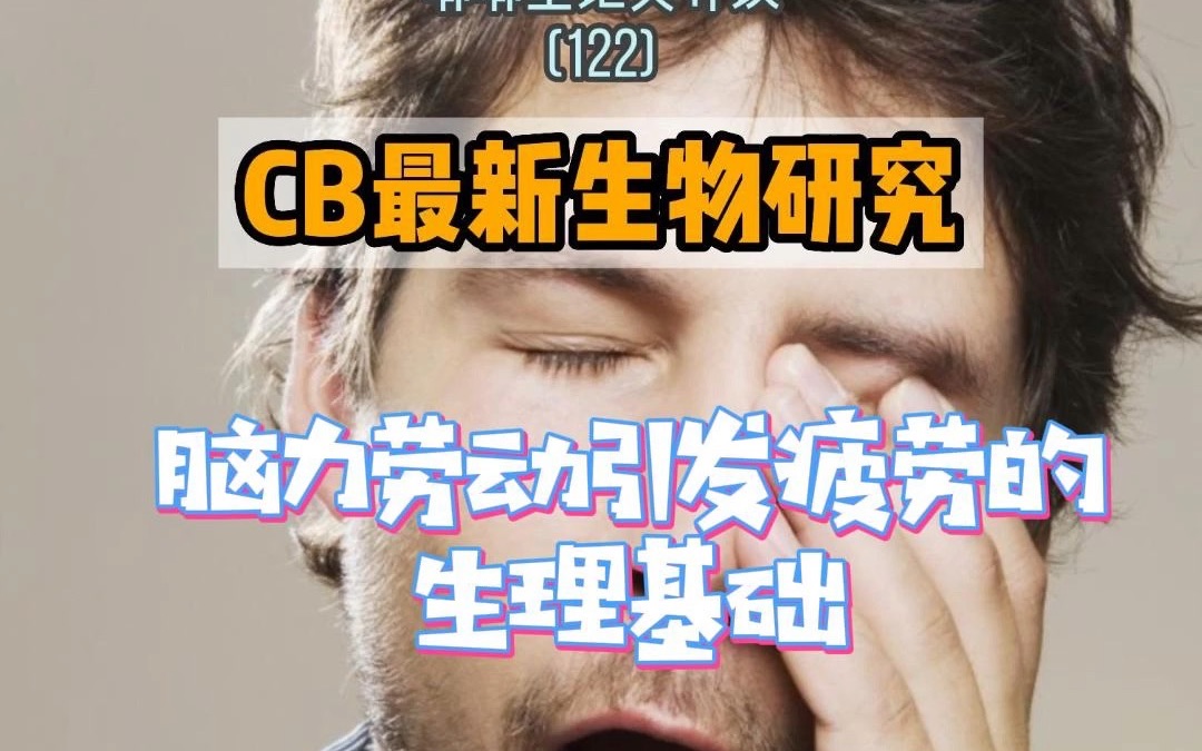 Current Biology: 脑力劳动引发的疲惫不是错觉, 它有其对应的生理基础!哔哩哔哩bilibili