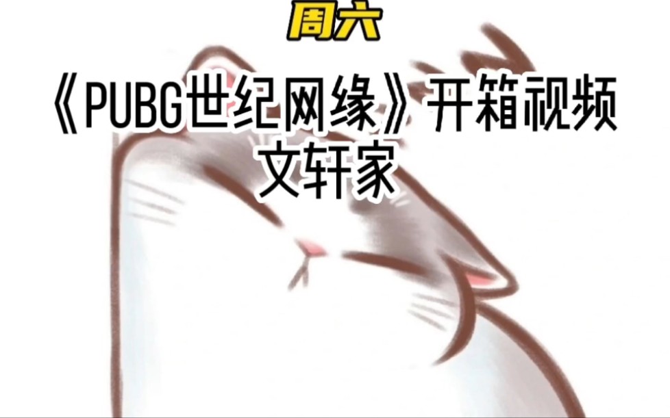 [图]《PUBG世纪网缘》开箱视频，文轩家