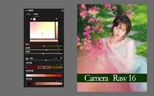 Download Video: 最新正式版Adobe Camera Raw 16.5（附公开下载链接）