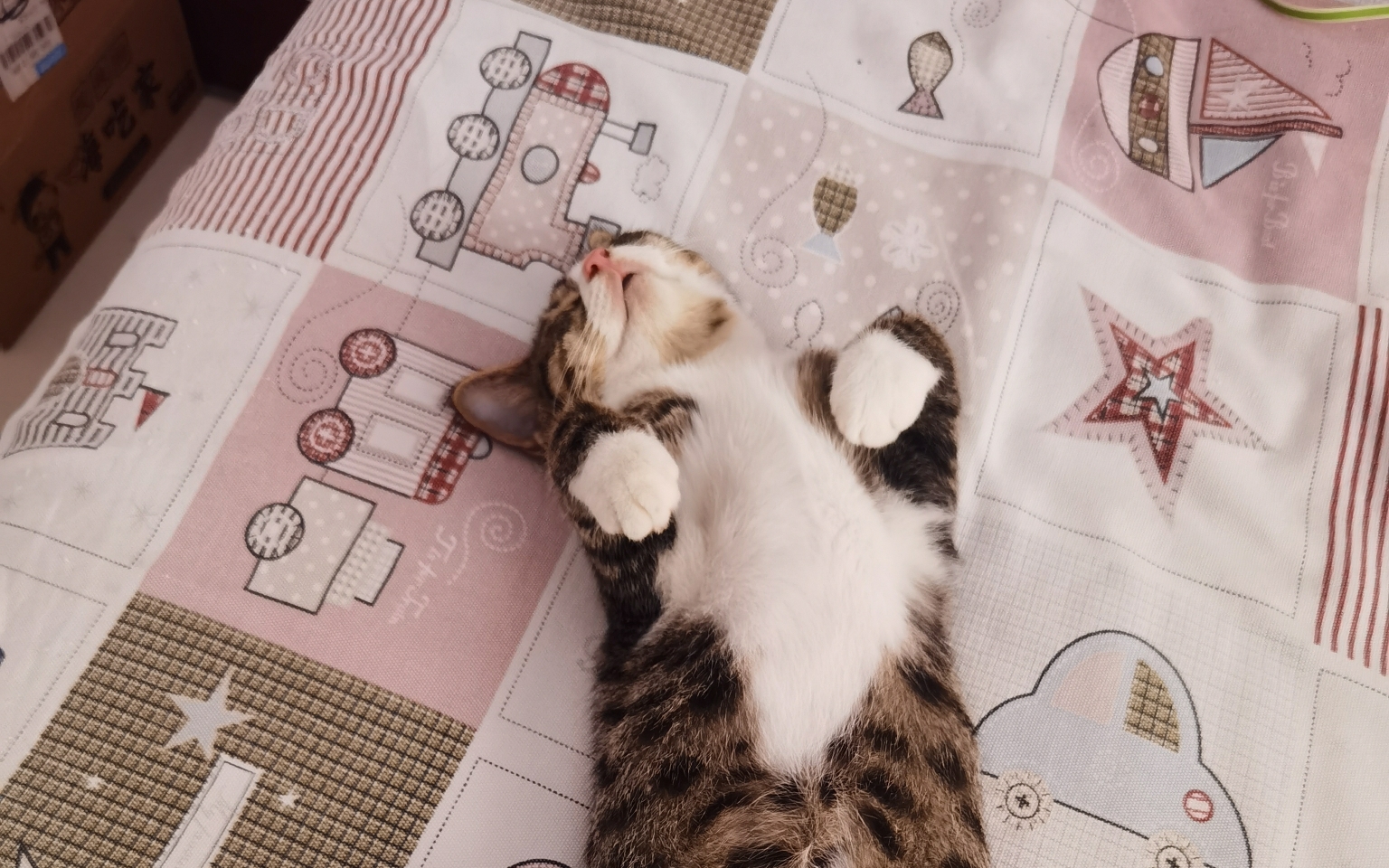 女孩子介样睡觉不太好吧