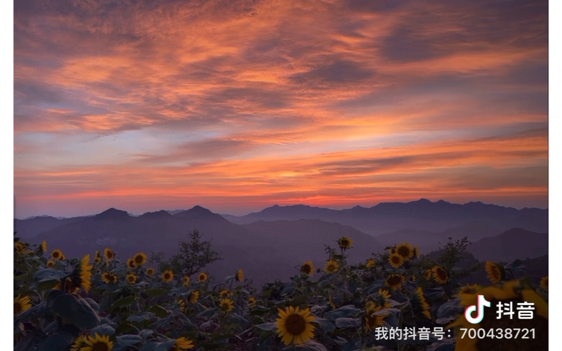 [图]每个人都有一段特别艰难的时光，不必害怕，日升月落，只有黎明！