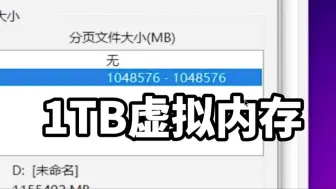 下载视频: 【2】不小心给电脑分配1TB虚拟内存，会怎么样？