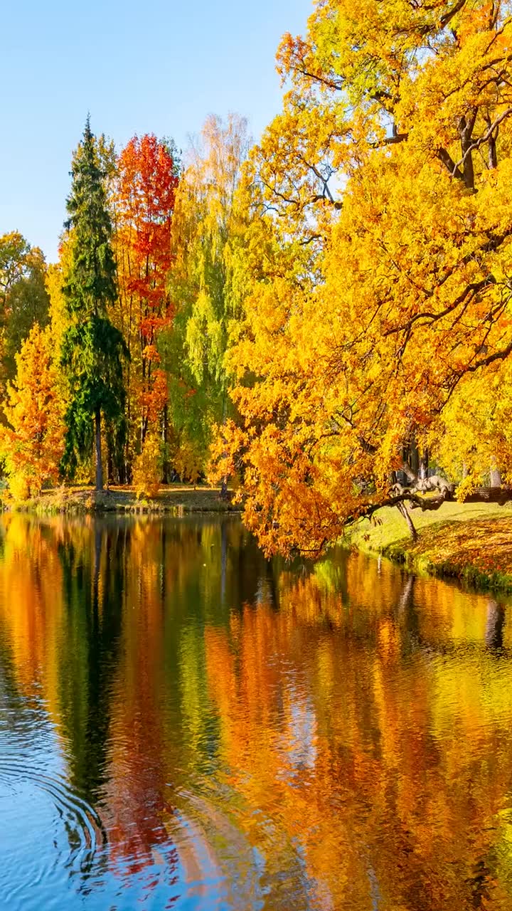 时光荏苒生命如歌愿你岁月静好安暖如斯秋旅行风景81615