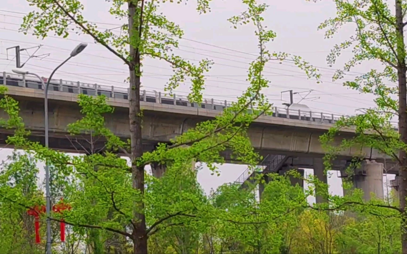 活动  北京丰台杜家坎环岛北