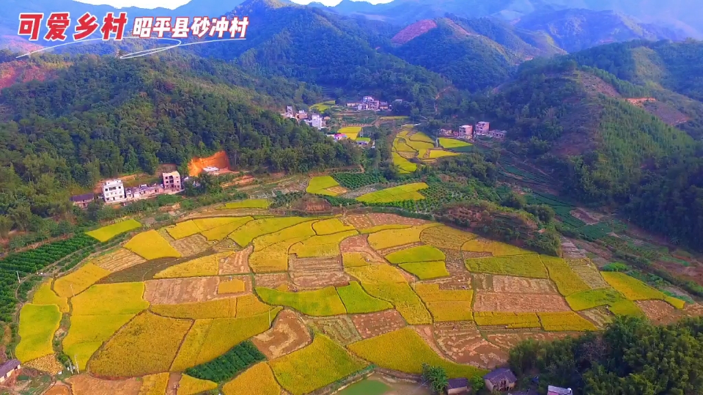 [图]山青水秀生态美，满目稻香话丰年，航拍广西昭平县砂冲村，记录家乡美景。