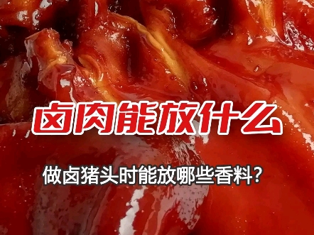 卤肉放哪些香料,有什么作用?哔哩哔哩bilibili