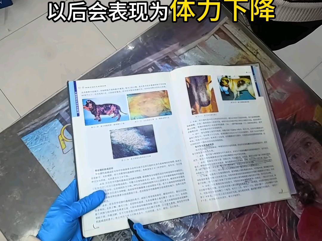 乡村兽医修狗差点出事故
