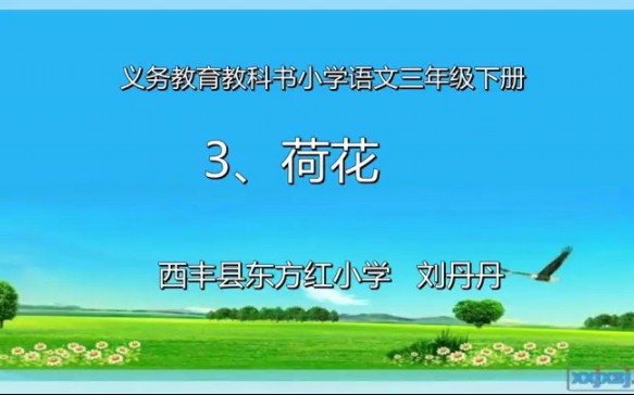 三下:《荷花》(含课件教案) 名师优质课 公开课 教学实录 小学语文 部编版 人教版语文 三年级下册 3年级下册(执教:刘丹丹)哔哩哔哩bilibili