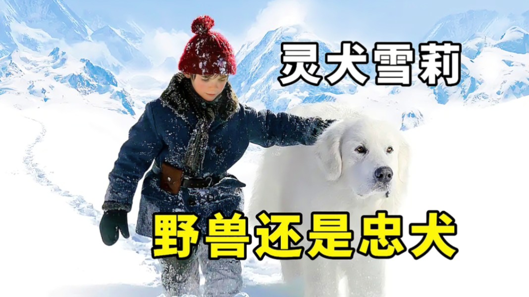 人们口中的野兽居然是一只雪白的大狗,电影《灵犬雪莉》哔哩哔哩bilibili