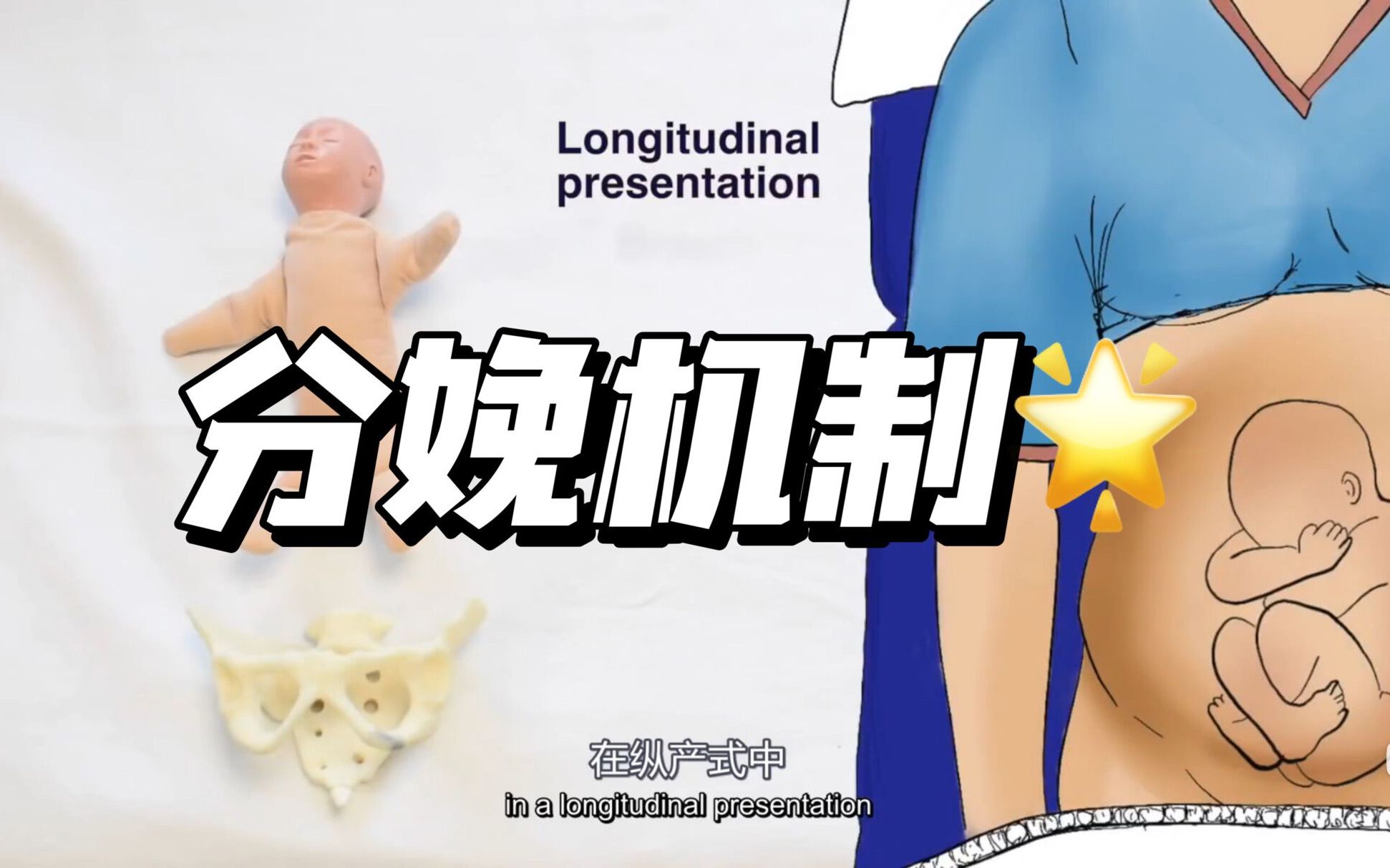 【自制双语】分娩机制 Mechanism of Labour&Fetal Positions哔哩哔哩bilibili