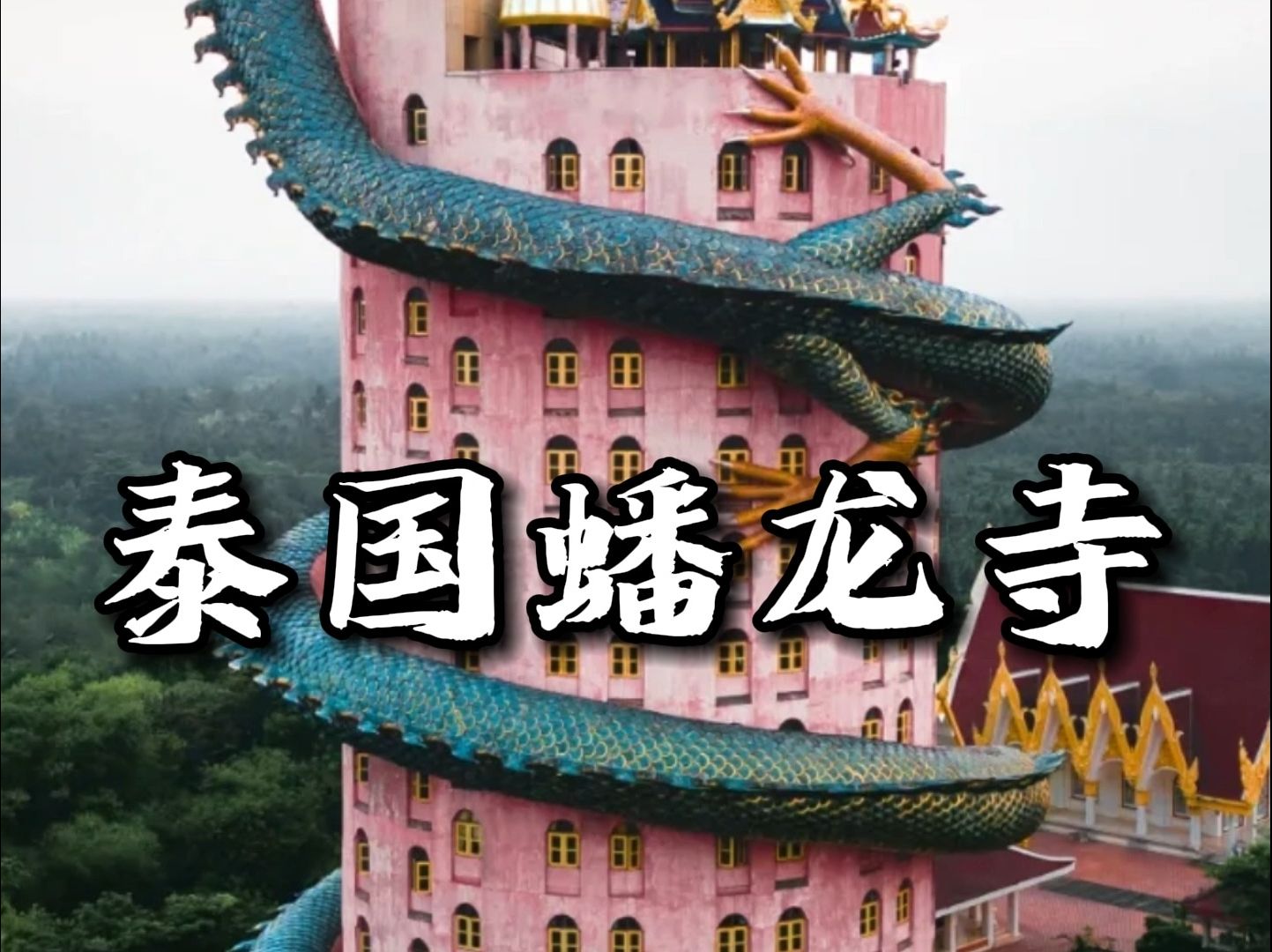被龙缠绕的神秘庙宇,泰国龙庙,一柱擎天.