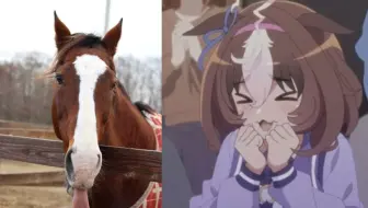 【证明题】马娘角色是按照各自原型的要求设计的