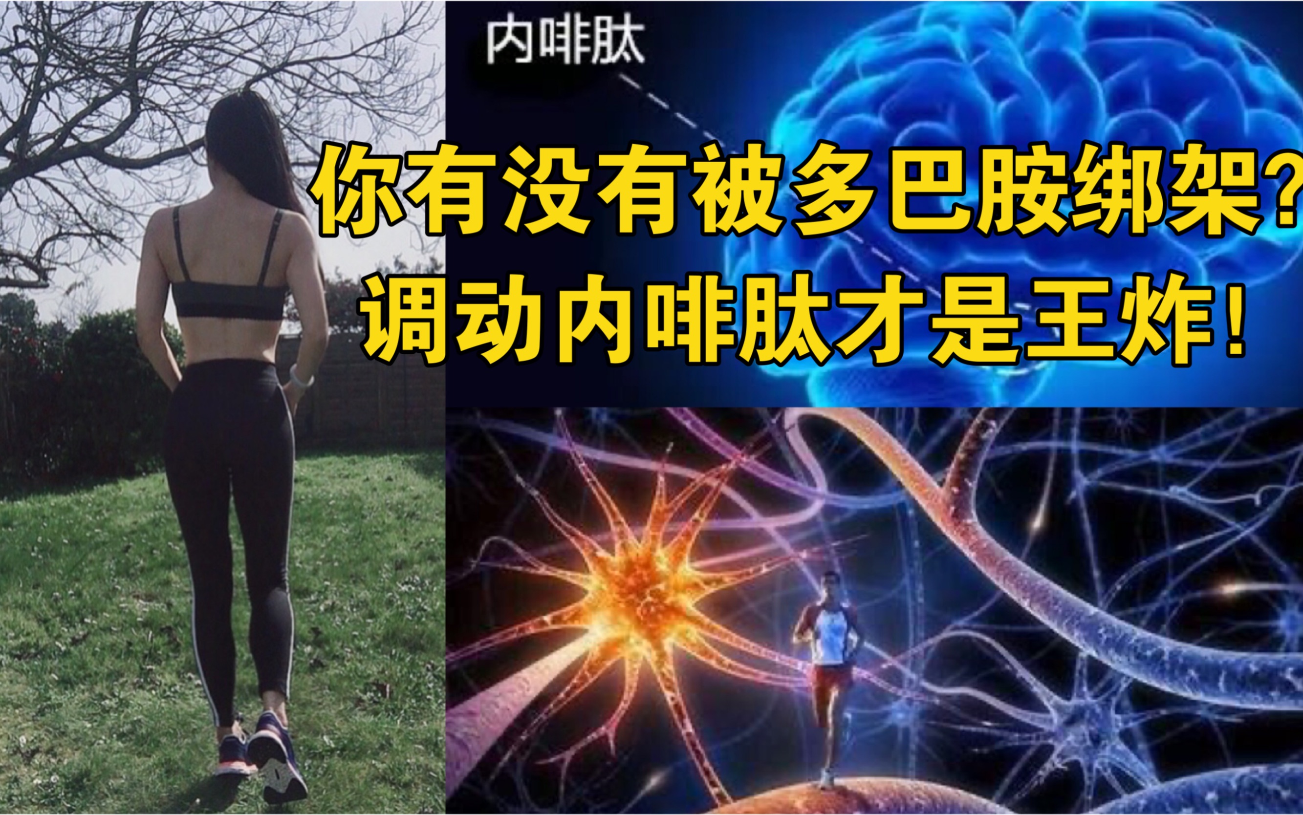 警惕甜蜜"毒品"多巴胺!如何调动幸福密码内啡肽?_哔哩哔哩_bilibili