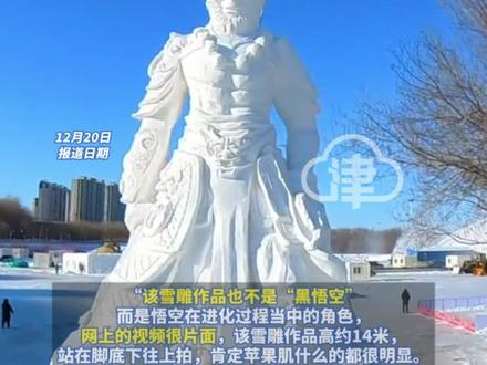 【公司回应禁止员工游玩冰雪大世界】 黑龙江佳木斯“黑悟空”雪雕遭嘲讽似“吗喽”佳木斯文旅:住口! 雪雕师儿子:我爸已经两三天睡不着了哔哩哔哩...