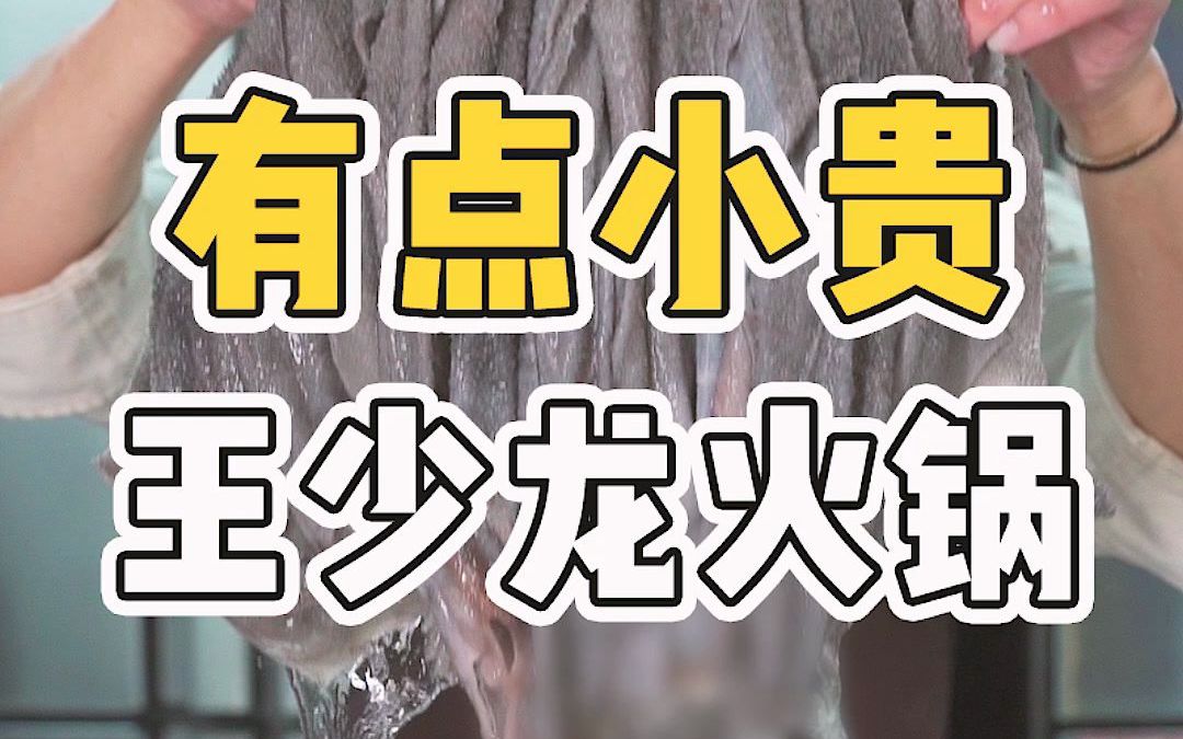 除了贵没毛病,王少龙火锅你吃过没?哔哩哔哩bilibili